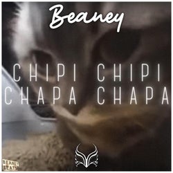 CHIPI CHIPI CHAPA CHAPA (Pro Mix)