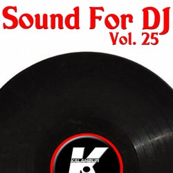 SOUND FOR DJ VOL 25