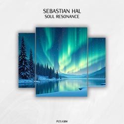 Soul Resonance (Original Mix)