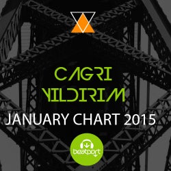 JANUARY 2015 // CAN YOU FEEL IT // TOP10