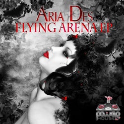 Flying Arena