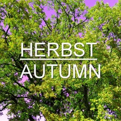 Herbst Autumn, Vol. 2 (Melodic Techno Tech House Minimal Music)
