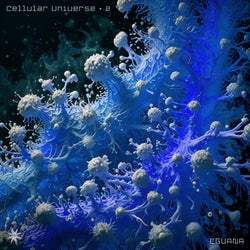 Cellular Universe 2
