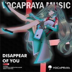 Disappear of You