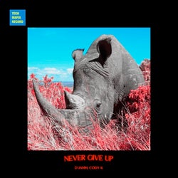 Never Give Up