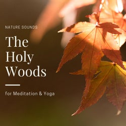 The Holy Woods - Nature Sounds For Meditation & Yoga