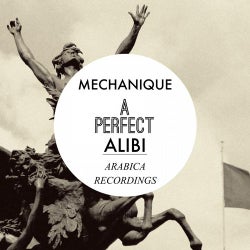 A Perfect Alibi