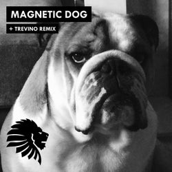 Magnetic Dog