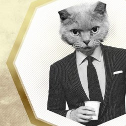 The Cat In The Suit