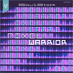 Pixel Warrior