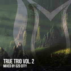 True Trio, Vol. 2