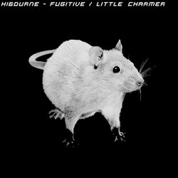 Fugitive/Little Charmer