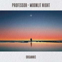 Moonlit Night