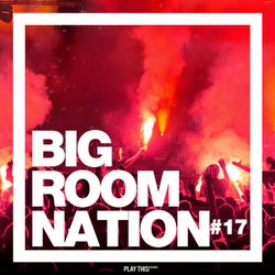 Big Room Nation Vol. 17