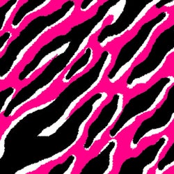 Camino - Remix