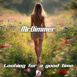 Looking For A Good Time