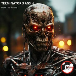 Terminator 3 AGS H