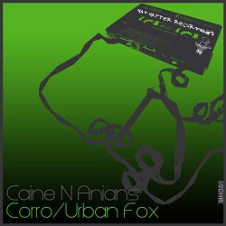 Corro / Urban Fox