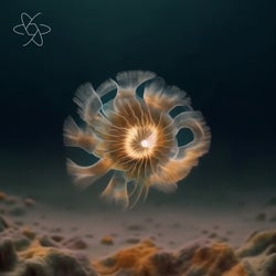 Control of Eternity