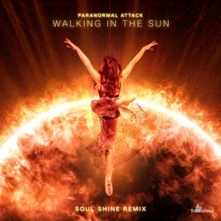 Walking In The Sun (Soul Shine Remix)