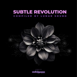 Subtle Revolution (Compiled by Lunar Sound)