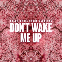Don't Wake Me Up (Extended Mix)