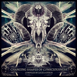 CHANGING SHAPES OF CONSCIOUSNESS