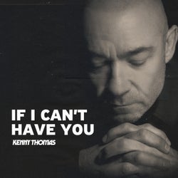 If I Can't Have You
