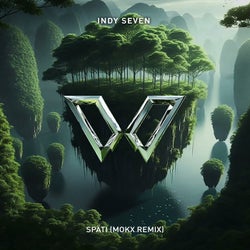 Späti (MOKX Remix)