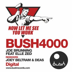 Now Let Me See You Work 2015 (feat. Elle Zed)