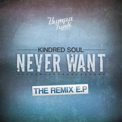 Never Want - Remixes