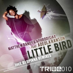 Little Bird (feat. Adeola Ranson)