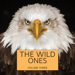 The Wild Ones, Vol. 3 (We Are Young, Wild And Free)