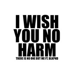 I WISH YOU NO HARM