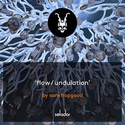 Flow / Undulation