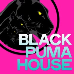 Black Puma House