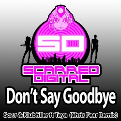 Don't Say Goodbye (Chris Fear Remix)