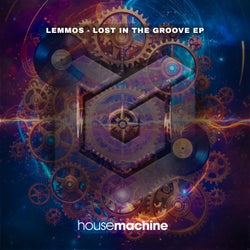 Lost in the Groove