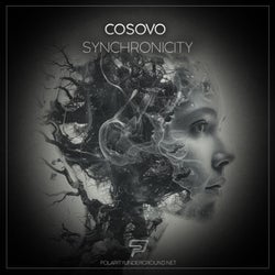 Synchronicity