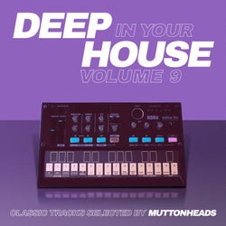 Deep in Your House - Vol 9 - Classic Hits Selected by Muttonheads