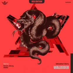 Walrider