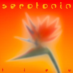 Serotonin