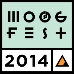 Friday Night at Moogfest 2014