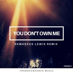 You Don't Own Me (Demarkus Lewis Remix)