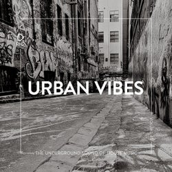 Urban Vibes Vol. 45