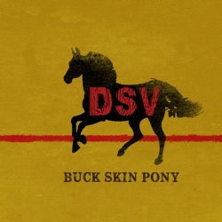 Buck Skin Pony