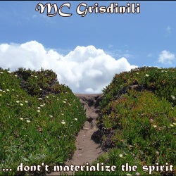 Don't Materialize the Spirit