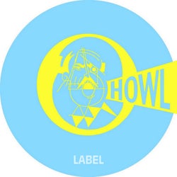 Hwlsd16