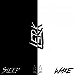 Sleep/Wake
