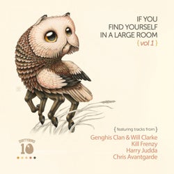 If You Find Yourself In A Large Room Vol. 1